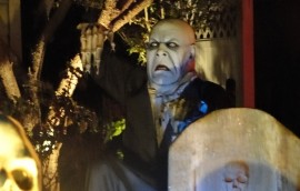 Chronická obava, že Ti ukradnú nápad je niekedy až k smiechu